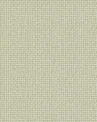 91601 The Lost Garden  Biderbost Weave Green