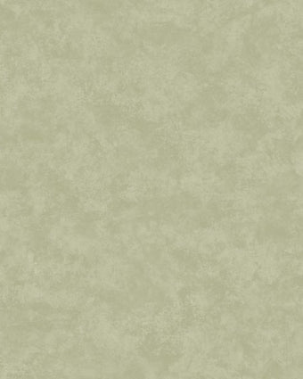 91733 Arboretum Kanso Sage
