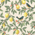 91890 Tales of the Manor Ponderosa Cream Orange