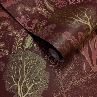 92080 Wanderlust Nautilus Berry