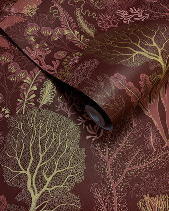 92080 Wanderlust Nautilus Berry