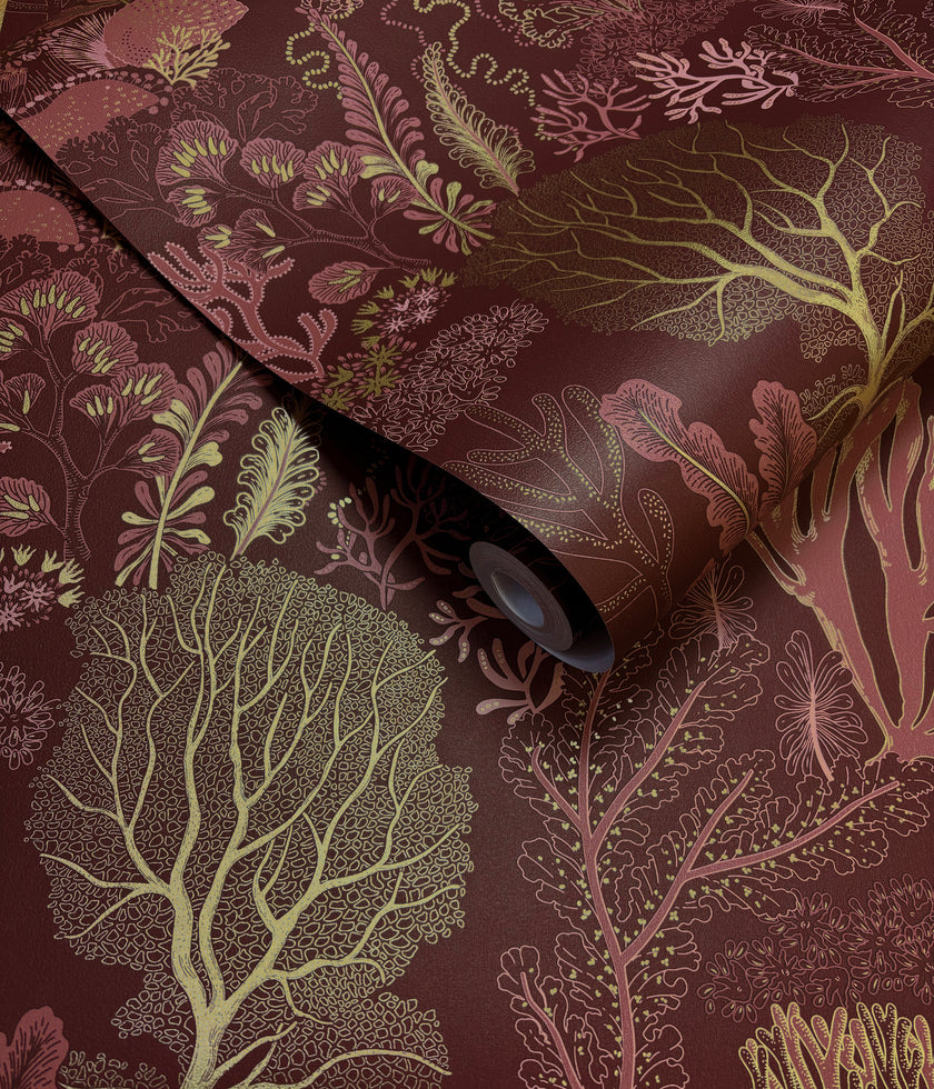 92080 Wanderlust Nautilus Berry