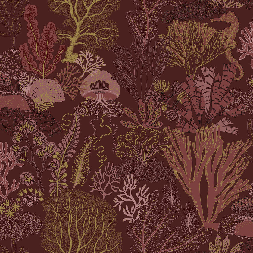 92080 Wanderlust Nautilus Berry