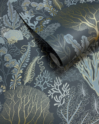 92081 Wanderlust Nautilus Navy Gold