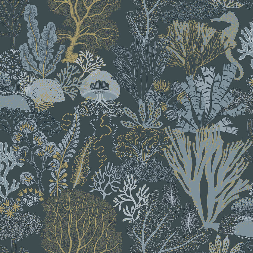 92081 Wanderlust Nautilus Navy Gold