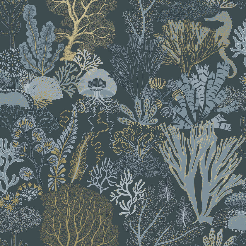 92081 Wanderlust Nautilus Navy Gold