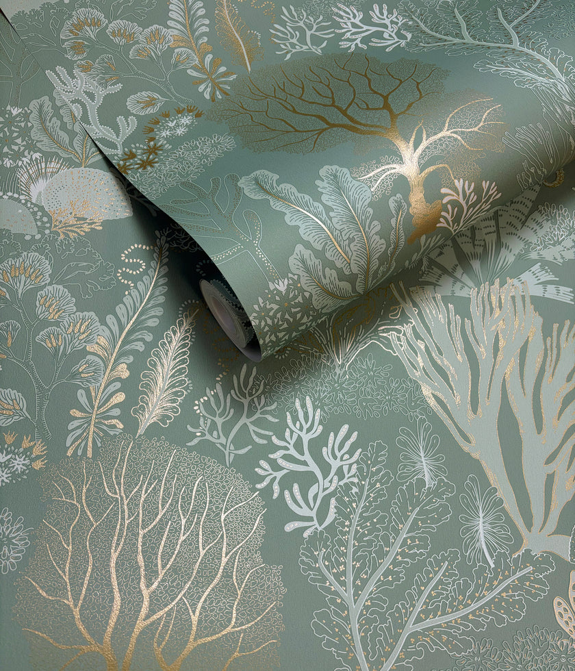 92082 Wanderlust Nautilus Aqua