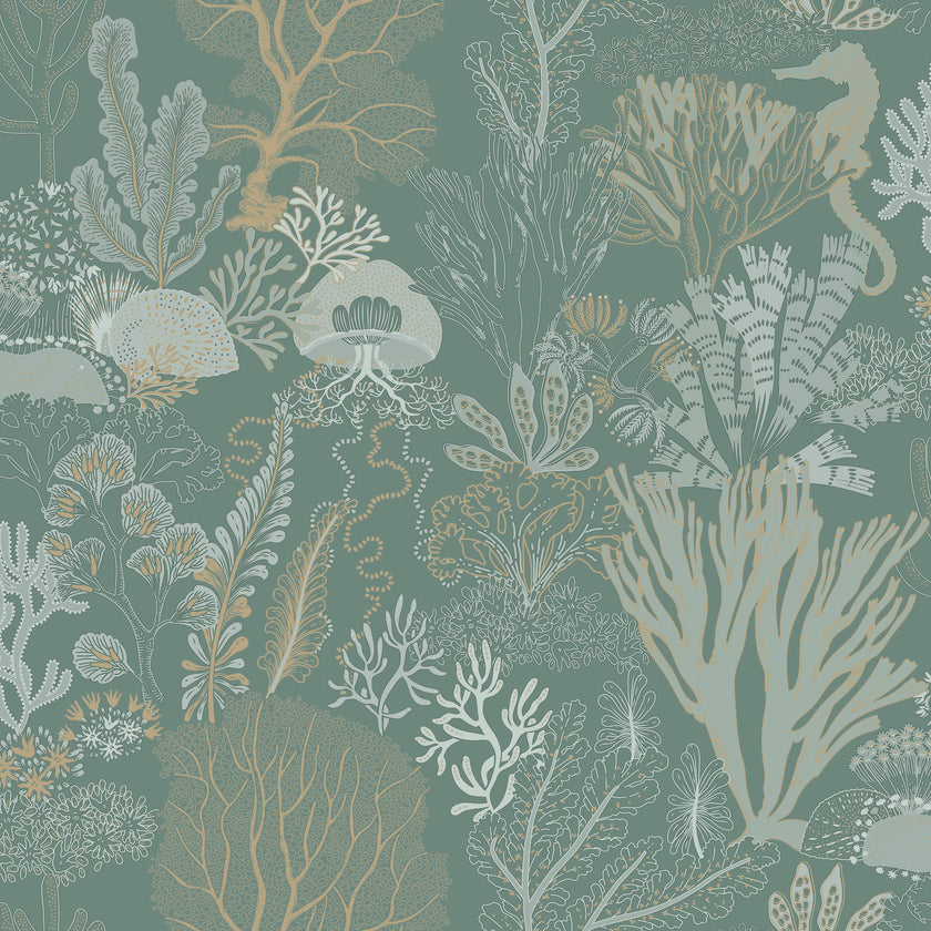 92082 Wanderlust Nautilus Aqua