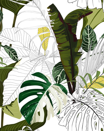 Banana Leaf Graphic  -  [Custom printed at R598/m²]