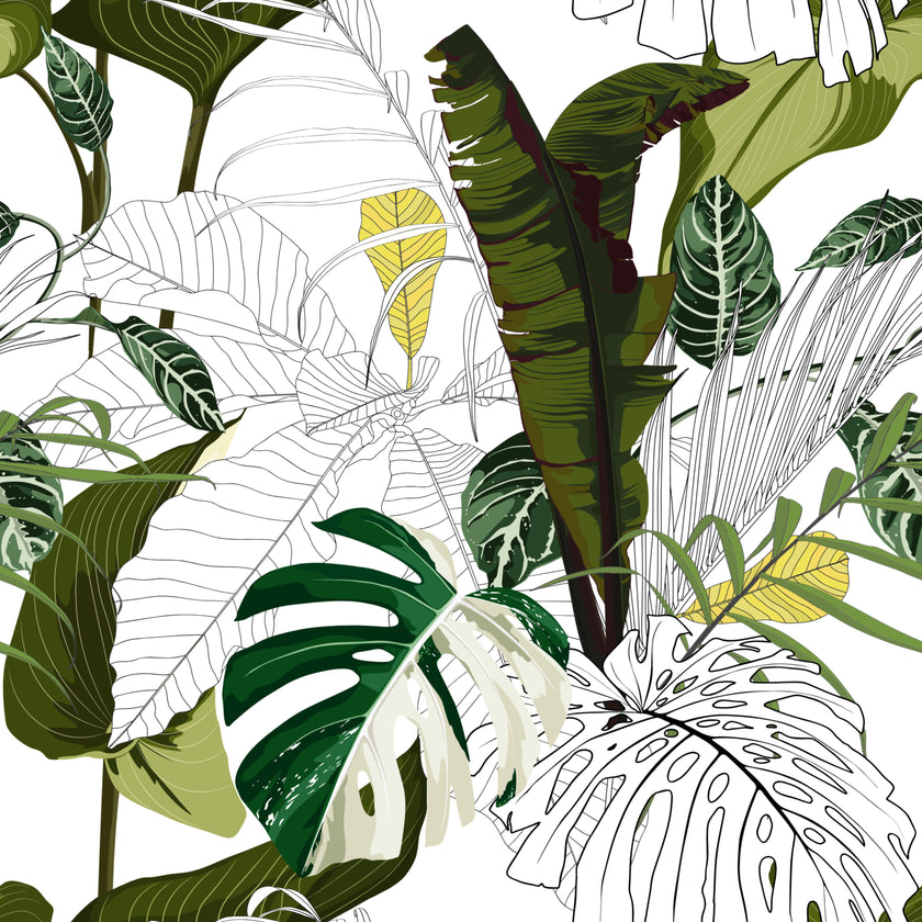 Banana Leaf Graphic  -  [Custom printed at R560/m²]