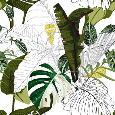 Banana Leaf Graphic  -  [Custom printed at R495/m²]