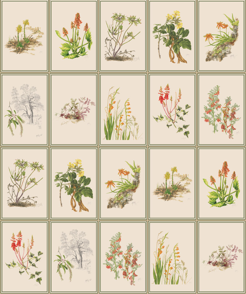 Botanical Dreams by South African Artist Gillian Condy - vintage background - [Custom printed at R598/m²]