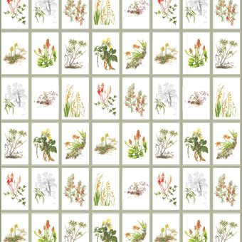 Botanical Dreams by South African Artist Gillian Condy - white background - [Custom printed at R598/m²]