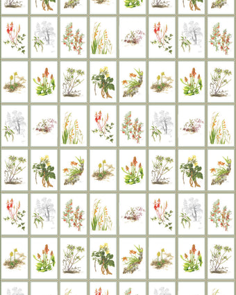 Botanical Dreams by South African Artist Gillian Condy - white background - [Custom printed at R598/m²]