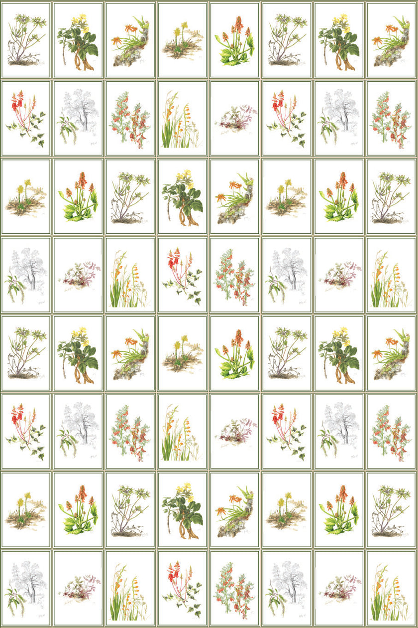Botanical Dreams by South African Artist Gillian Condy - white background - [Custom printed at R598/m²]