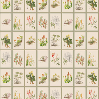 Botanical Dreams by South African Artist Gillian Condy - vintage background - [Custom printed at R598/m²]
