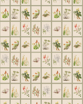 Botanical Dreams by South African Artist Gillian Condy - vintage background - [Custom printed at R598/m²]