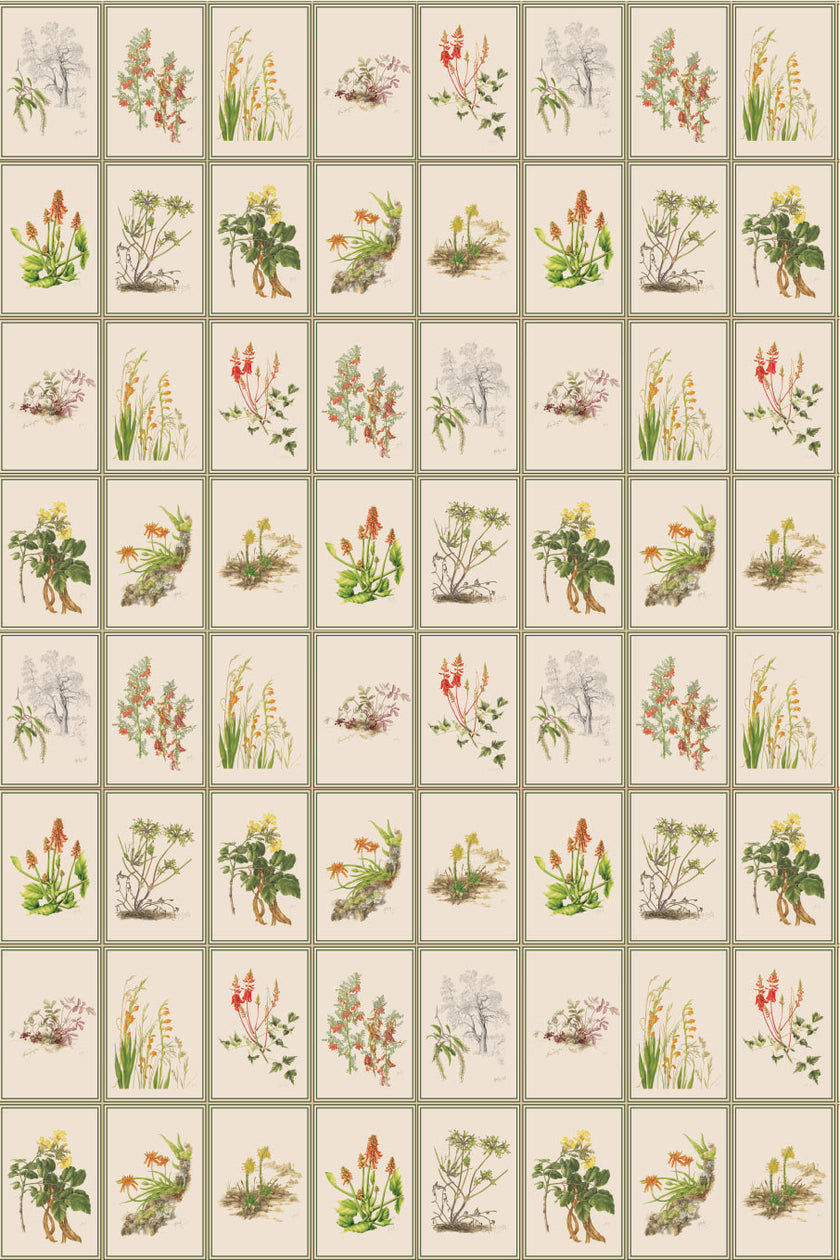 Botanical Dreams by South African Artist Gillian Condy - vintage background - [Custom printed at R598/m²]