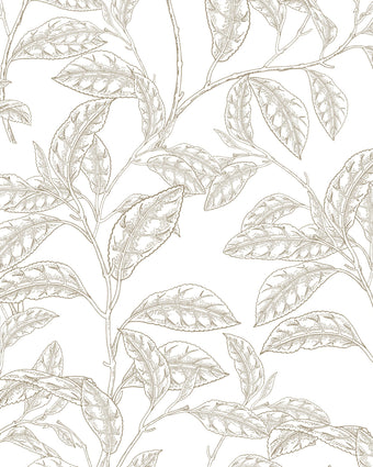 Camellia  -  [Custom printed at R598/m²]