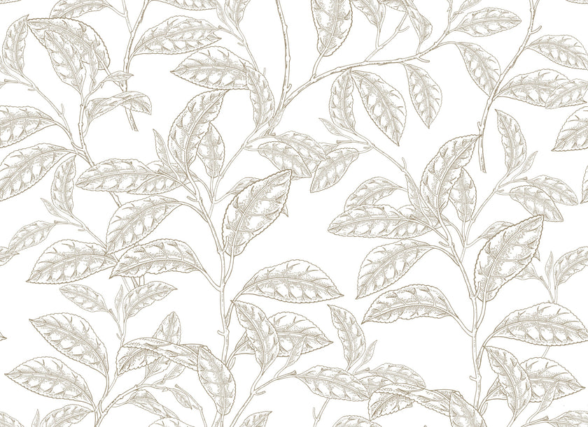 Camellia  -  [Custom printed at R598/m²]