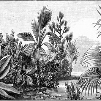 Chinoiserie Jungle Scene  -  [Custom printed at R560/m²]