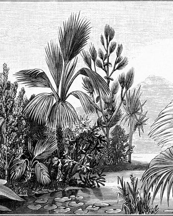Chinoiserie Jungle Scene  -  [Custom printed at R598/m²]
