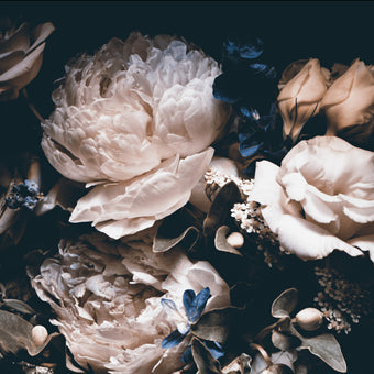 Delicate Peony  -  [Custom printed at R560/m²]