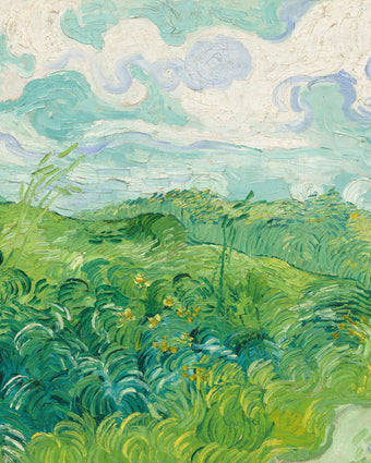 Green Wheat Fields, Auvers by Vincent van Gogh  -  [Custom printed at R598/m²]