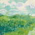 Green Wheat Fields, Auvers by Vincent van Gogh  -  [Custom printed at R598/m²]