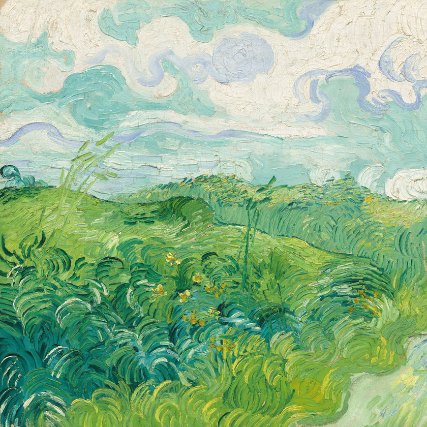 Green Wheat Fields, Auvers by Vincent van Gogh  -  [Custom printed at R598/m²]