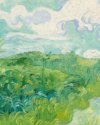 Green Wheat Fields, Auvers by Vincent van Gogh  -  [Custom printed at R598/m²]