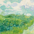 Green Wheat Fields, Auvers by Vincent van Gogh  -  [Custom printed at R598/m²]