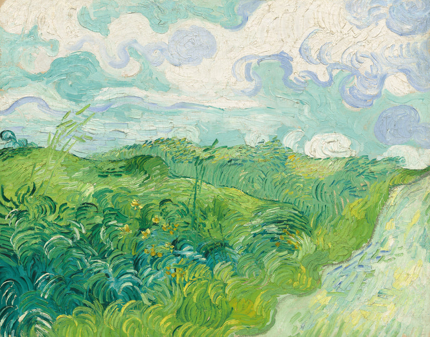 Green Wheat Fields, Auvers by Vincent van Gogh  -  [Custom printed at R598/m²]