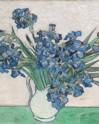 Irises by Vincent van Gogh  -  [Custom printed at R598/m²]