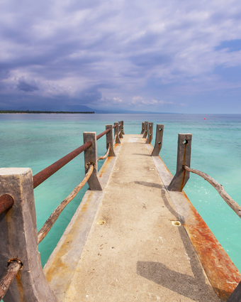 Jetty in Paradise  -  [Custom printed at R598/m²]