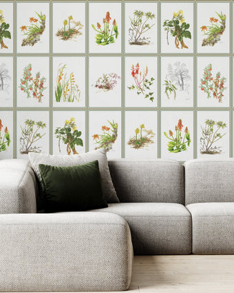 Botanical Dreams by South African Artist Gillian Condy - white background - [Custom printed at R598/m²]