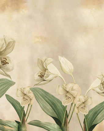Vintage Botanical  -  [Custom printed at R598/m²]