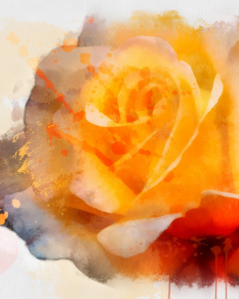 My Yellow Rose  -  [Custom printed at R598/m²]