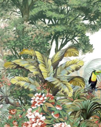 Amazon Toucan Tropics A323