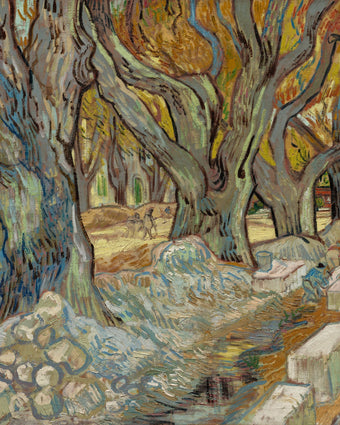 The Large Plane Trees by Vincent van Gogh  -  [Custom printed at R598/m²]