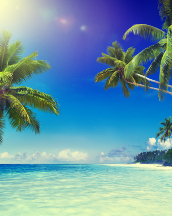 Island Style Tropical Heaven  -  [Custom printed at R598/m²]