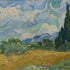 Wheat Field with Cypresses by Vincent van Gogh  -  [Custom printed at R598/m²]
