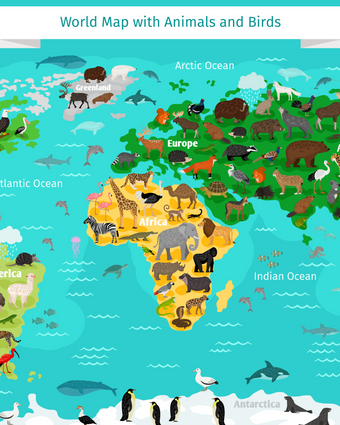 World Map with Animals and Birds  -  [Custom printed at R598/m²]
