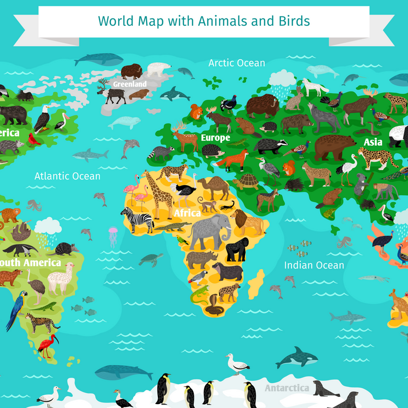 World Map with Animals and Birds  -  [Custom printed at R560/m²]