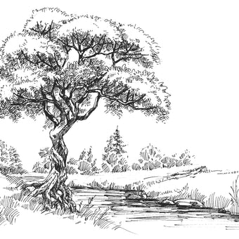 Black and white illustrated mural of a large tree beside a calm river in a peaceful countryside landscape.