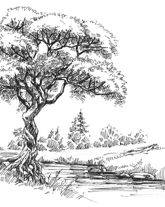 Black and white illustrated mural of a large tree beside a calm river in a peaceful countryside landscape.
