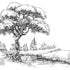 Black and white illustrated mural of a large tree beside a calm river in a peaceful countryside landscape.