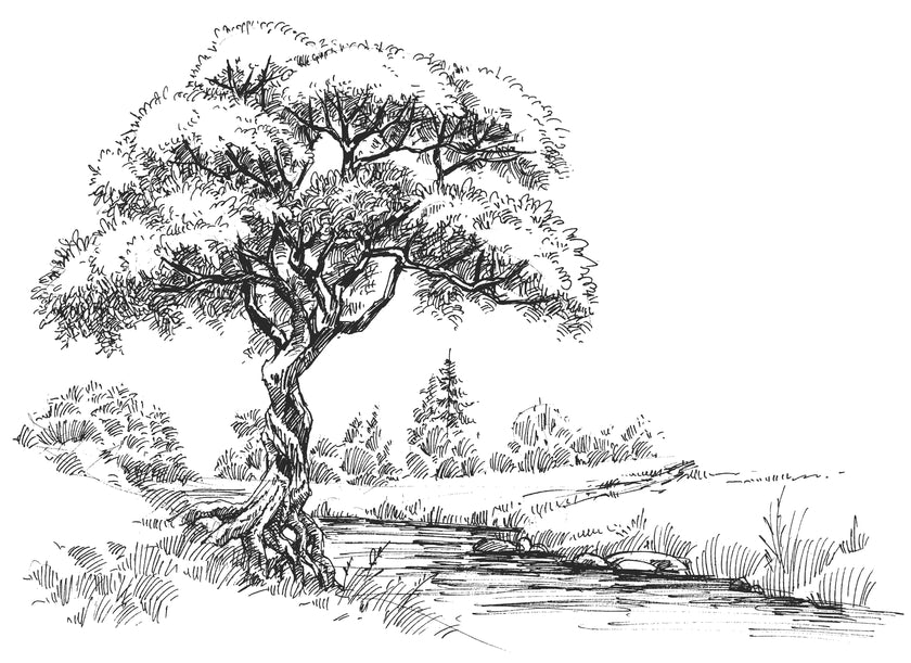 Black and white illustrated mural of a large tree beside a calm river in a peaceful countryside landscape.
