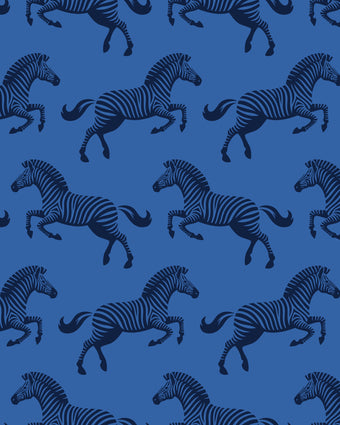 Repeating zebra wallpaper pattern featuring navy and royal blue zebras on a cobalt blue background. Zoomed in on the zebras. 