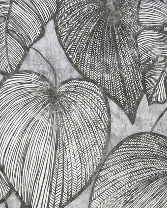 26939 Julie Feels Home Monstera